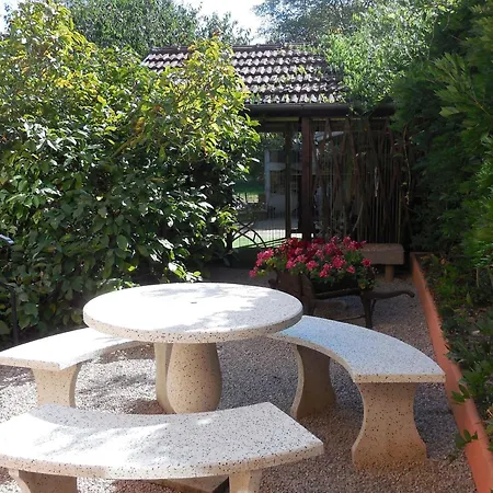 Chaleureux Avec Terrasse, Proche Des Activites Touristiques Et Nature Des Vosges - Fr-1-589-177 Holiday home