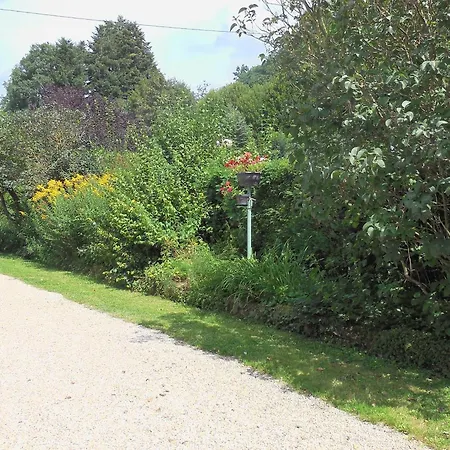 Chaleureux Avec Terrasse, Proche Des Activites Touristiques Et Nature Des Vosges - Fr-1-589-177 Ferienhaus
