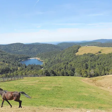 Дом отдыха Chaleureux Avec Terrasse, Proche Des Activites Touristiques Et Nature Des Vosges - Fr-1-589-177