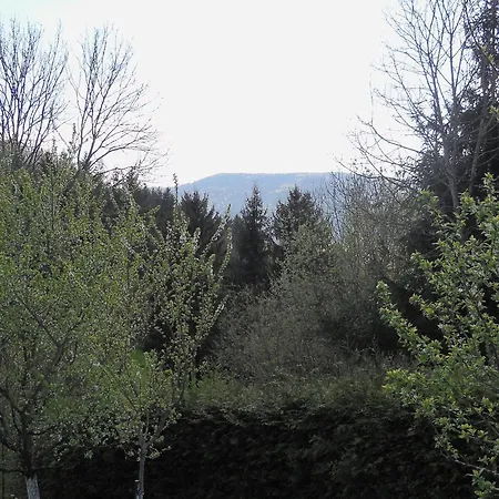 Chaleureux Avec Terrasse, Proche Des Activites Touristiques Et Nature Des Vosges - Fr-1-589-177 * Saint-Die-des-Vosges