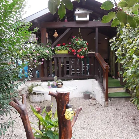 Chaleureux Avec Terrasse, Proche Des Activites Touristiques Et Nature Des Vosges - Fr-1-589-177 Ferienhaus *