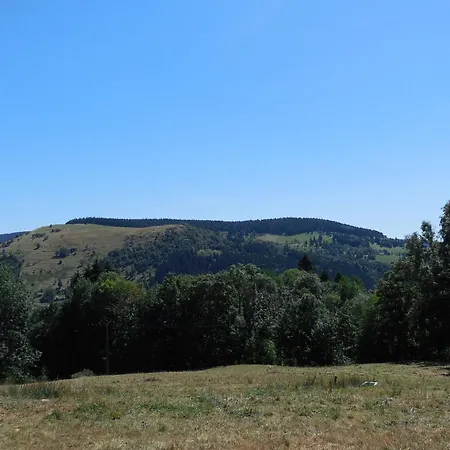 Chaleureux Avec Terrasse, Proche Des Activites Touristiques Et Nature Des Vosges - Fr-1-589-177 Дом отдыха Saint-Die-des-Vosges