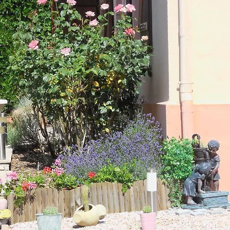 Chaleureux Avec Terrasse, Proche Des Activites Touristiques Et Nature Des Vosges - Fr-1-589-177 * Saint-Die-des-Vosges