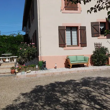 Chaleureux Avec Terrasse, Proche Des Activites Touristiques Et Nature Des Vosges - Fr-1-589-177