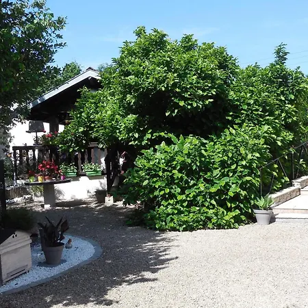 Country house Chaleureux Avec Terrasse, Proche Des Activites Touristiques Et Nature Des Vosges - Fr-1-589-177