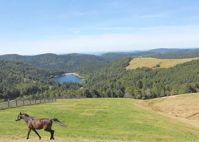 Дом отдыха Chaleureux Avec Terrasse, Proche Des Activites Touristiques Et Nature Des Vosges - Fr-1-589-177