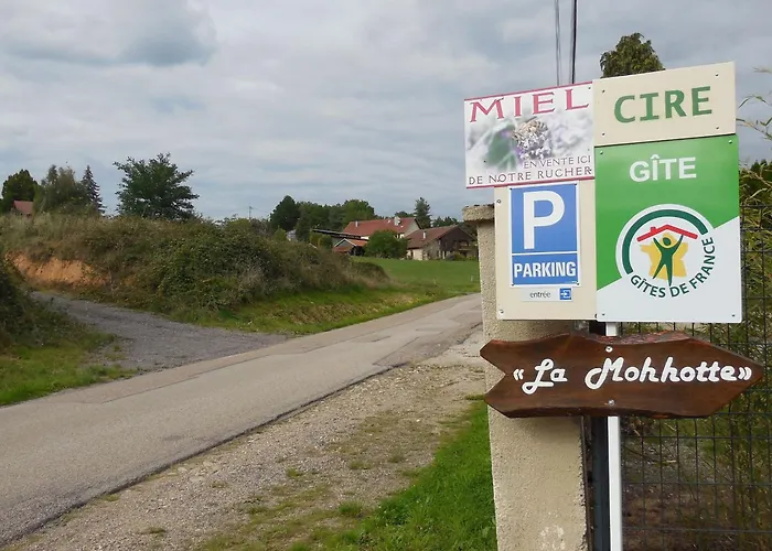 Chaleureux Avec Terrasse, Proche Des Activites Touristiques Et Nature Des Vosges - Fr-1-589-177 * Saint-Die-des-Vosges