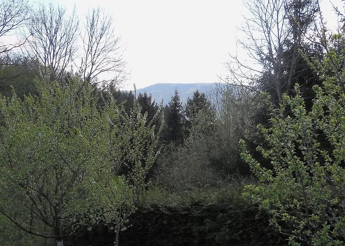 Chaleureux Avec Terrasse, Proche Des Activites Touristiques Et Nature Des Vosges - Fr-1-589-177 * Saint-Die-des-Vosges