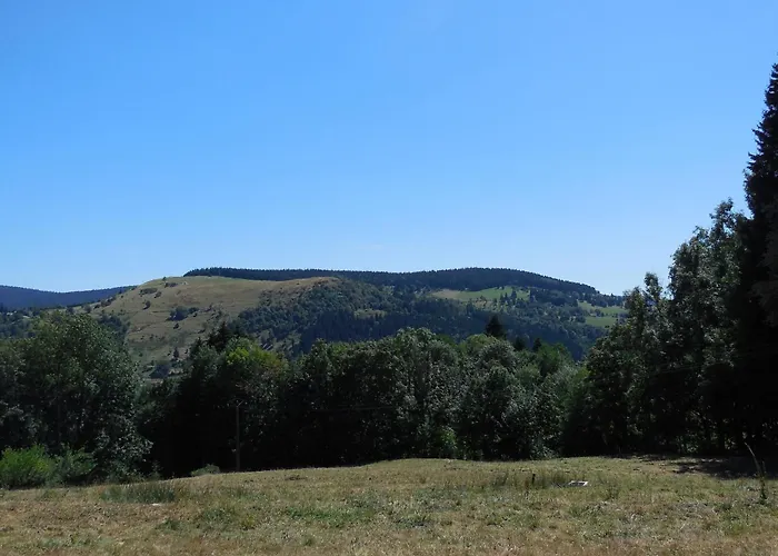 Chaleureux Avec Terrasse, Proche Des Activites Touristiques Et Nature Des Vosges - Fr-1-589-177 Дом отдыха Saint-Die-des-Vosges